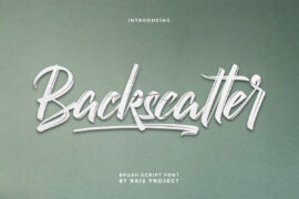 Backscatter Demo Font