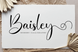 Baisley Font