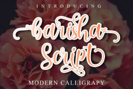 barisha script – Personal Use Font