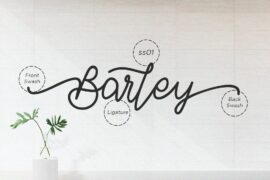 Gallery Image 6