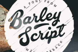 Barley Script PERSONAL USE Font