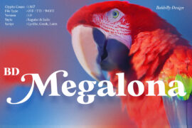 BD Megalona DEMO Personal Use Only Font