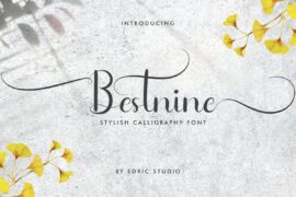 Bestnine Demo Font