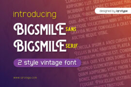 Bigsmile Font Family
