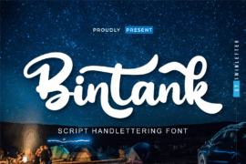 Bintank Font