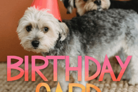 birthday card Font