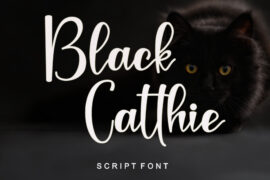 Black Catthie – Personal Use Font
