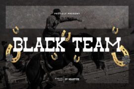 Black Team Demo Font Family