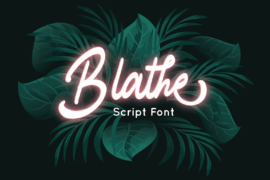 Blathe – Personal Use Font