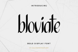 Bloviate Demo Font