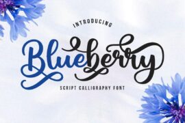 Blueberry Demo Font
