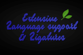 Blueberry Script PERSONAL USE Font