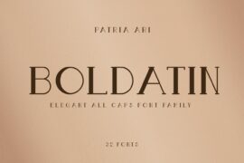 Boldatin Font