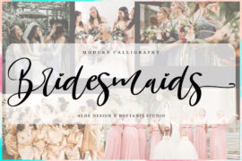 Bridesmaids Script Font Family