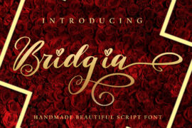 Bridgia Font Family