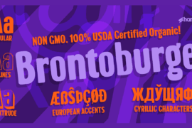 Brontoburger Font