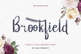 Brookfield Demo Font