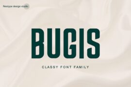 Bugis Classy Modern Font Font