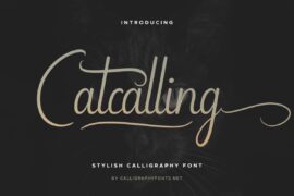 Catcalling Demo Font