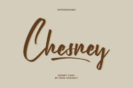 Chesney Demo Font