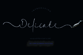 Delicate1 Font