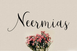 Demo Neermias Font