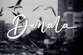 Denala – Personal Use Font