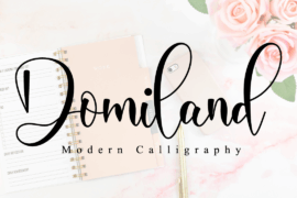 Domiland Font