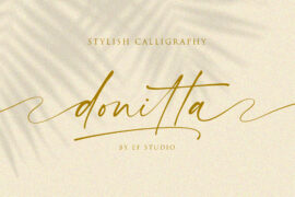 donitta – Personal Use Font