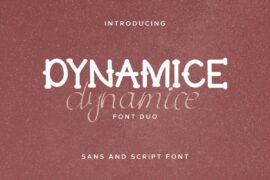 Dynamice Demo Font Family