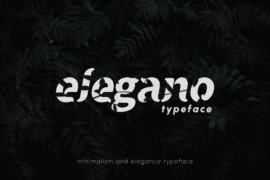 Elegano Display Typeface Font Family