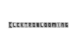 Elektroblooming Demo Font Family