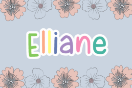 Featured Gallery Image