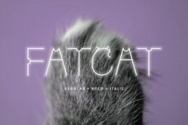 Fatcat Font Family