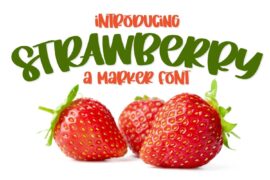 FB-Strawberry Font