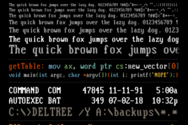 Flexi IBM VGA True Font Family