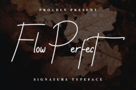 Flow Perfect Demo Font