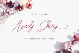 Fonts Font