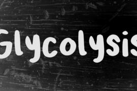 Glycolysis Font