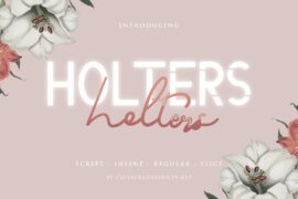 Holters Demo Font Family