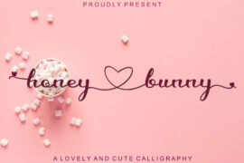 honey love bunny Font
