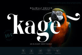 KAGE_DEMO_FONT Font