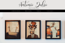 Gallery Image 6