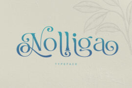 Nolliga Font