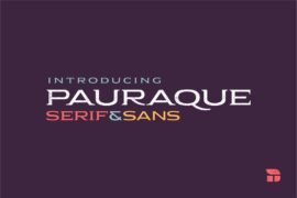 Pauraque_Serif_Rough Font