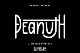 Peanuth Demo Font