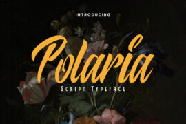 Polaria Font