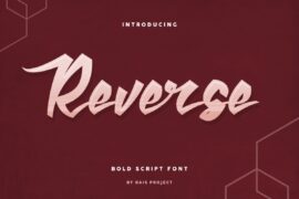 Reverse Demo Font