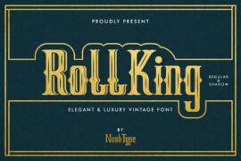 RollKing Demo Font Family