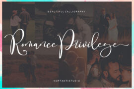 Romance Privilege Font Family